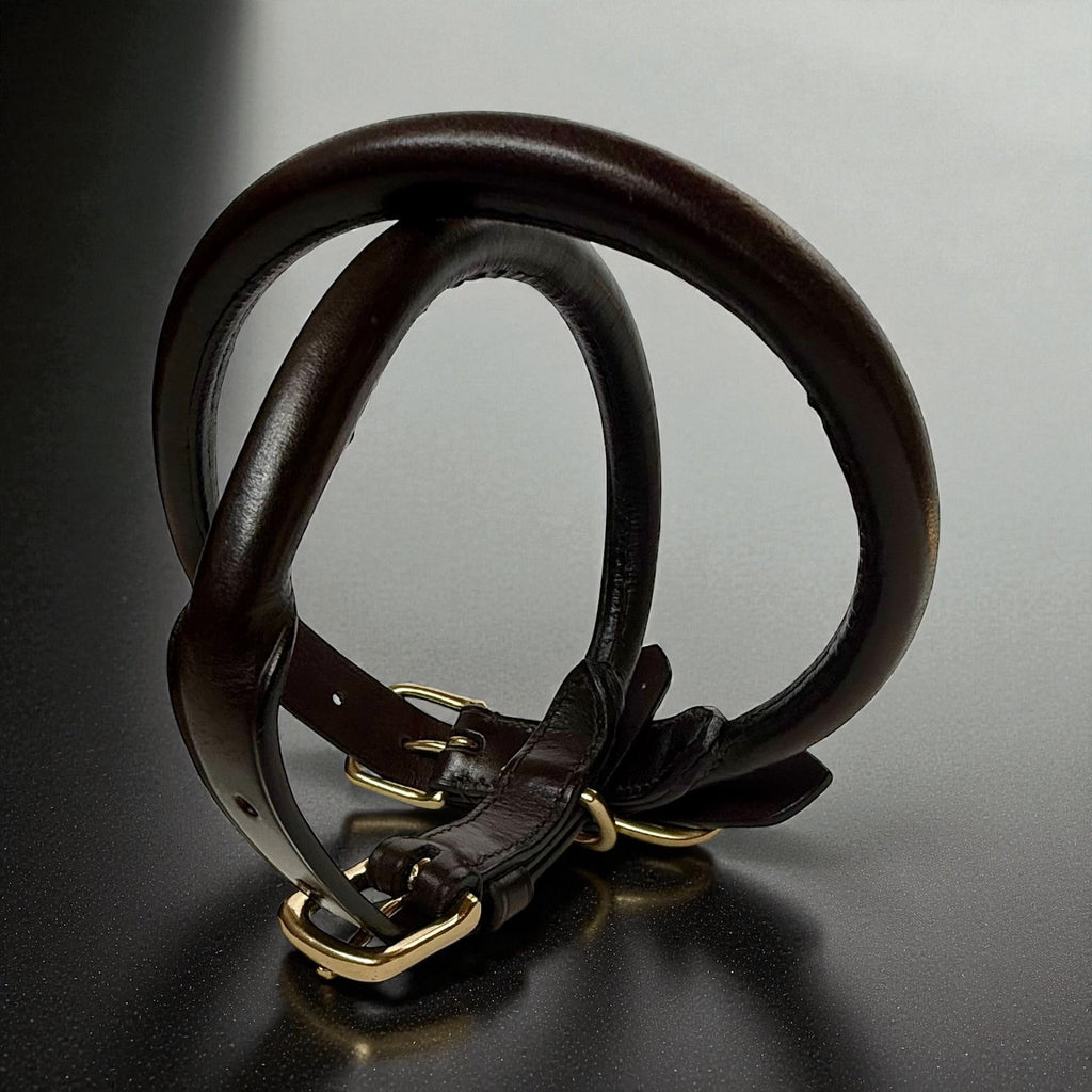 LUXE Rolled Leather Collar image 4