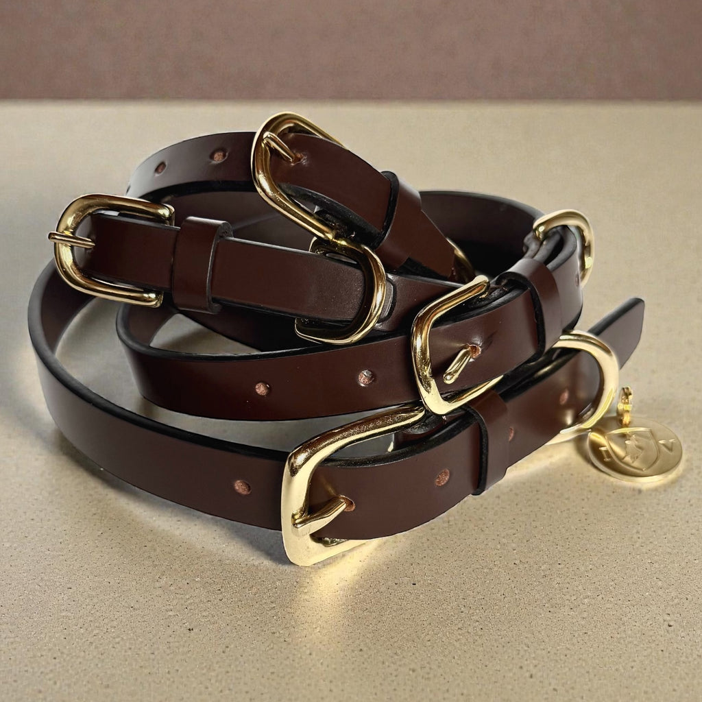 Classic Leather Collar image 0