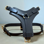 Padded Leather Harness image 1