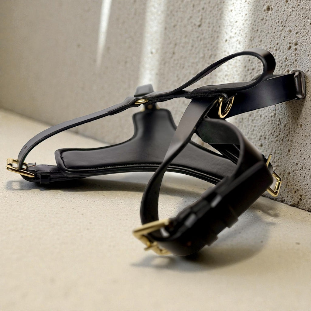 Padded Leather Harness image 6