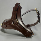 Padded Leather Harness image 4