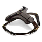 Padded Leather Harness image 3