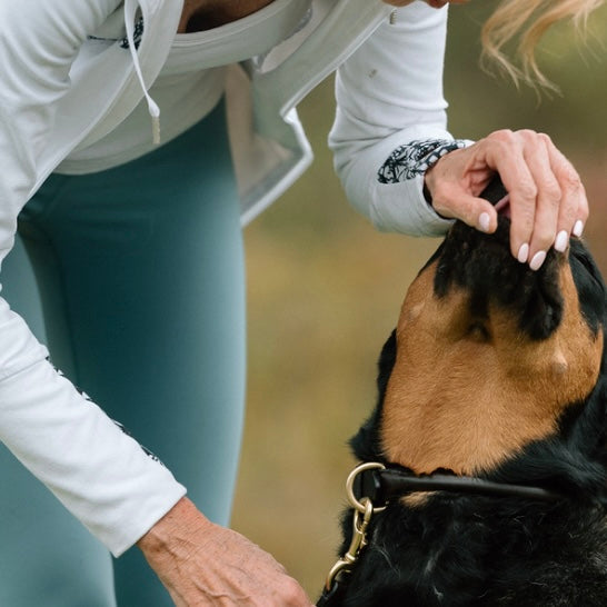 LUXE Rolled Leather Collar image 7