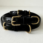 LUXE Raised Leather Collar - Medium, Black image