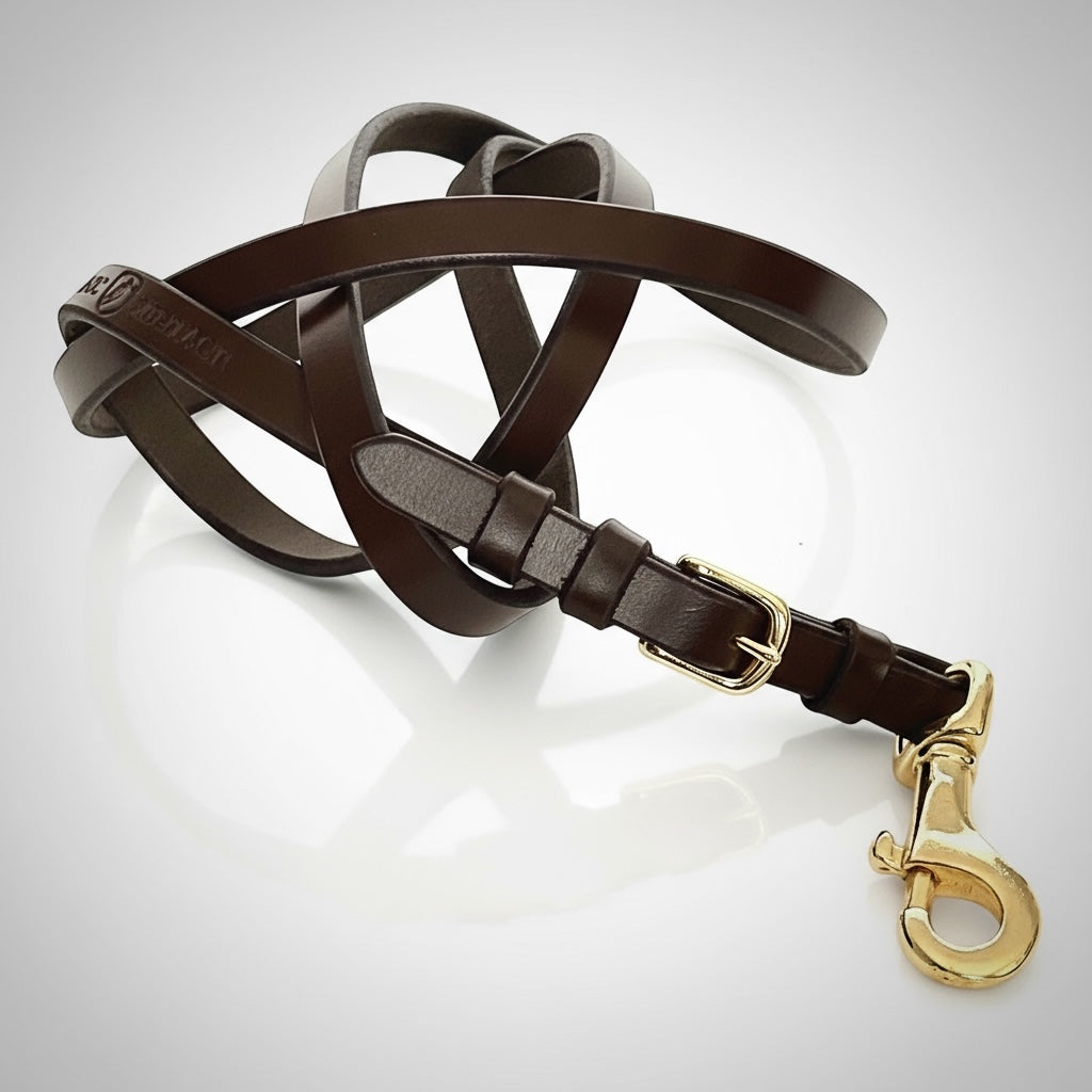 Rein Style Leather Leash image 2