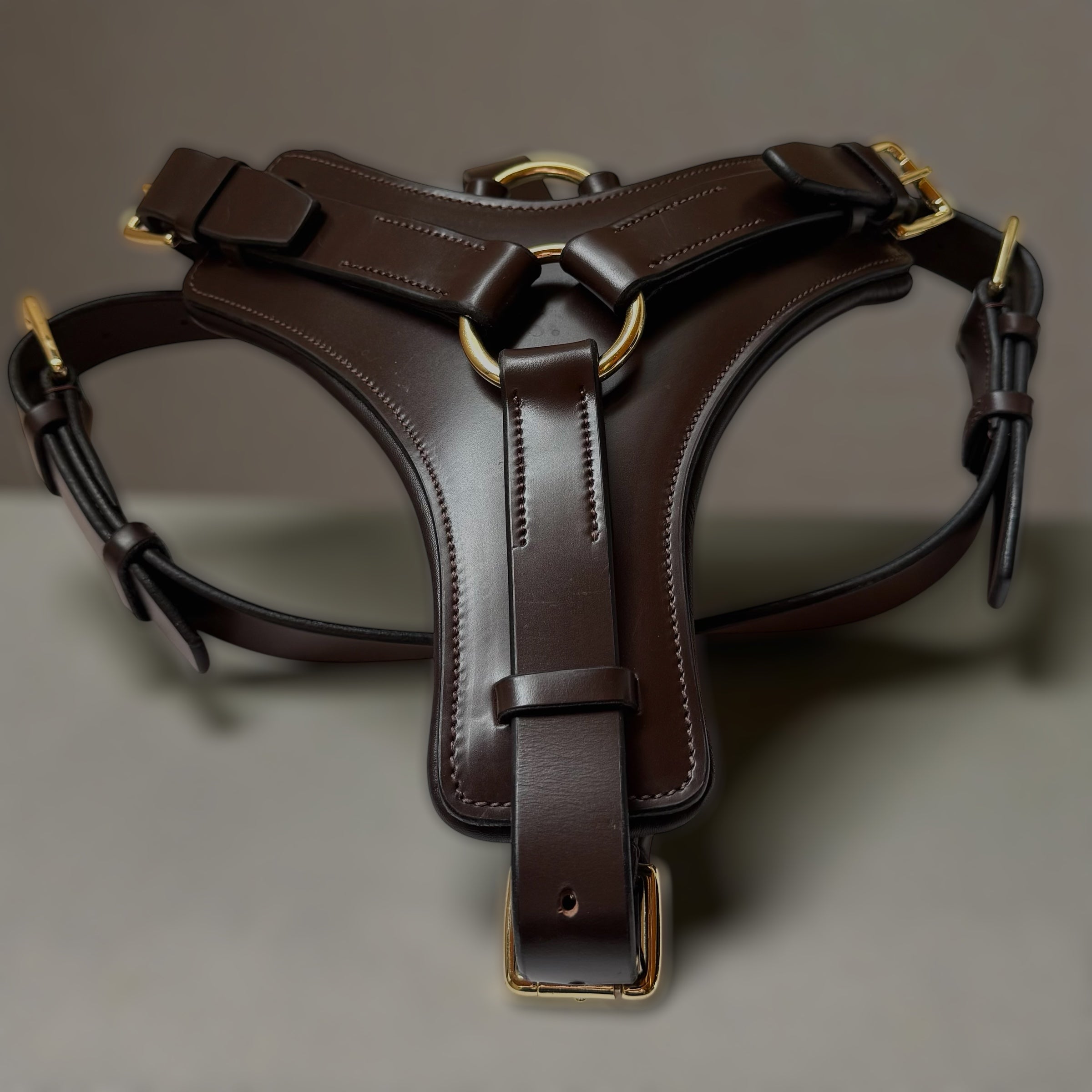 Padded Leather Harness - Medium, Brown image
