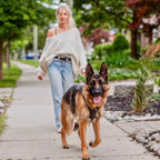 Padded Leather Harness image 7