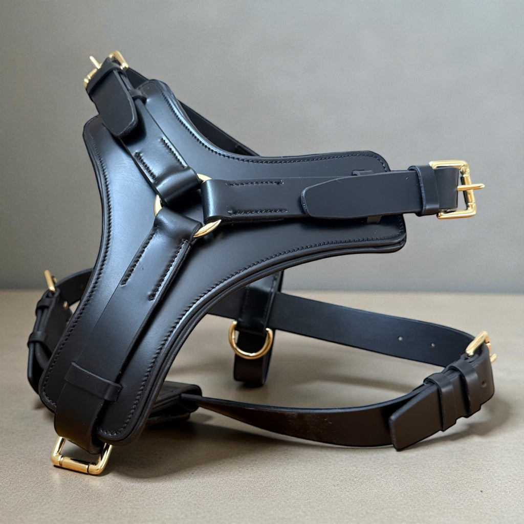 Padded Leather Harness image 2