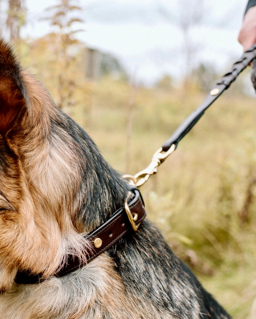 LUXE Laced Leather Leash image 3