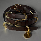 Classic Leather Collar image 5