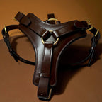 Padded Leather Harness image 0