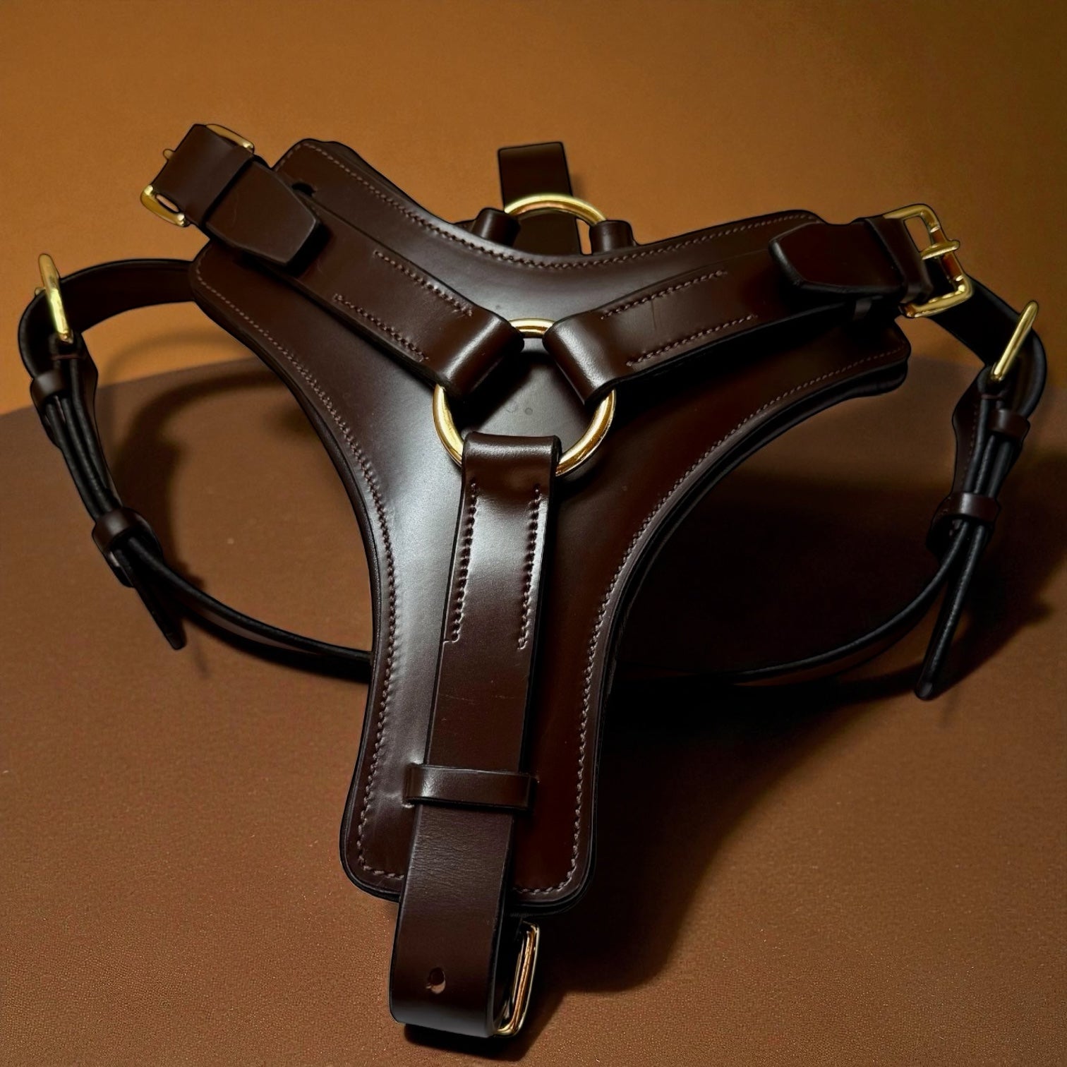 Padded Leather Harness image 0