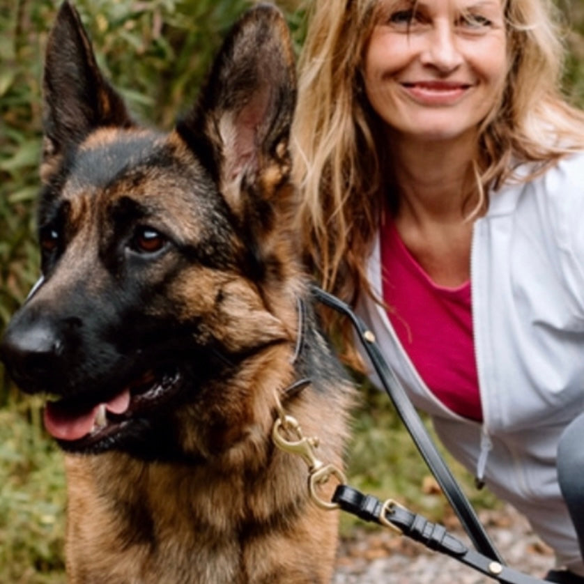 Rein Style Leather Leash image 7