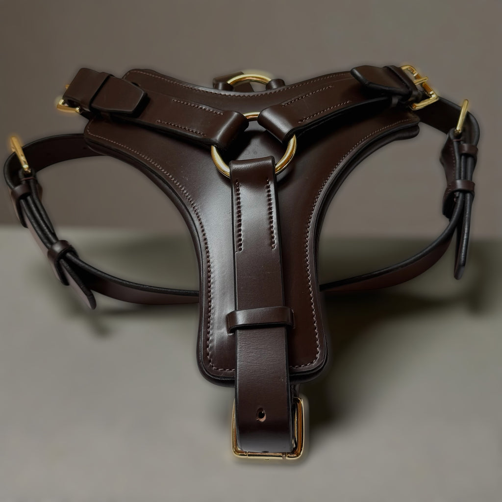 Padded Leather Harness image 5