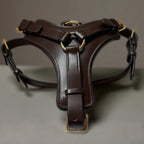 Padded Leather Harness image 5